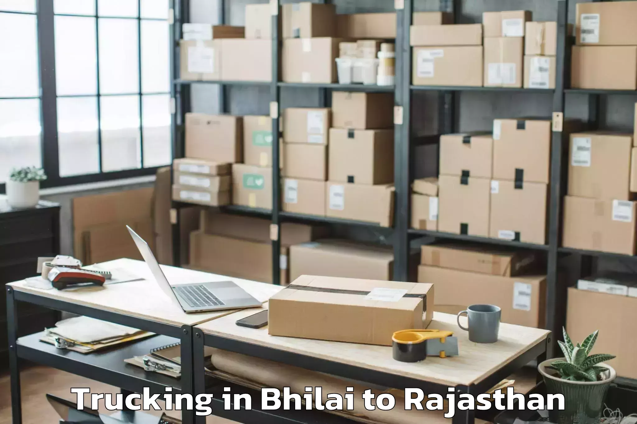 Easy Bhilai to Parvatsar Trucking Booking